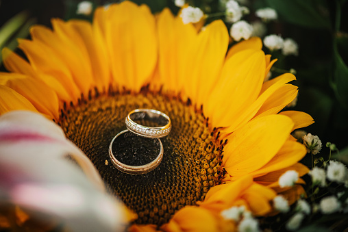 Wedding rings on a wedding bouquet.