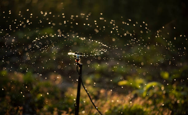 istock The splash of water is like universe 1436868014