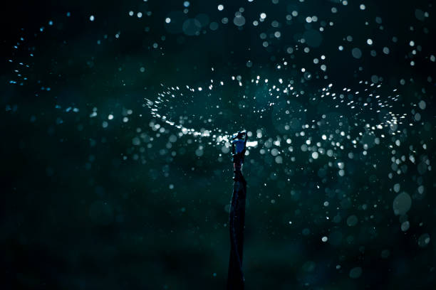 A water diffuser is a firefighting device that shoots water into the air to rain down on a fire