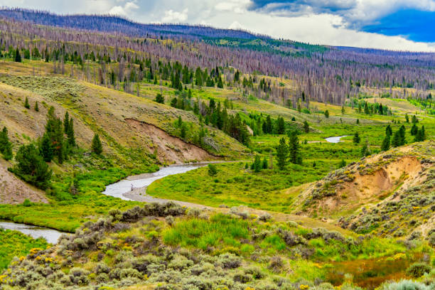 Windy River Spring 280+ Wind River River Photos Stock Photos, Pictures & Royalty-Free ...