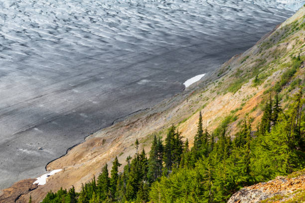 Salmon Glacier, Northern British Columbia The Salmon Glacier located in northern British Columbia, only accessible by travelling through the community of Hyder Alaska. This vast ice field is a popular destination for many travelers. salmon glacier stock pictures, royalty-free photos & images