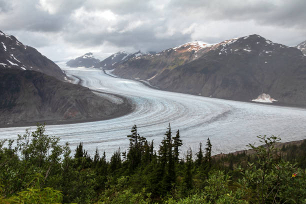 Salmon Glacier, Northern British Columbia The Salmon Glacier located in northern British Columbia, only accessible by travelling through the community of Hyder Alaska. This vast ice field is a popular destination for many travelers. salmon glacier stock pictures, royalty-free photos & images