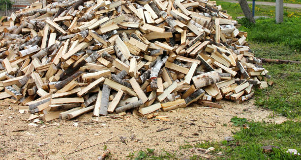 istock A pile of birch firewood in the backyard. 1436887646