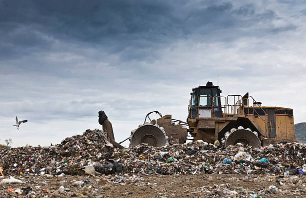 máquina excavadora en basura colección center - landfill fotografías e imágenes de stock