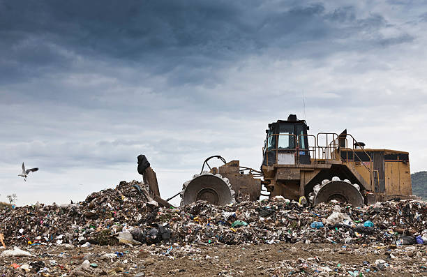 buldożer w centrum zbierania śmieci - landfill garbage dump garbage bird zdjęcia i obrazy z banku zdjęć