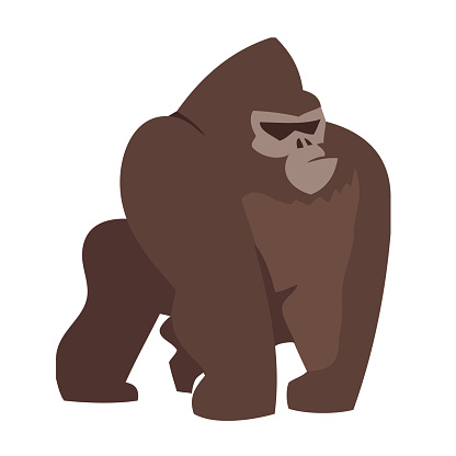 gorilla animal vector illustration icon image