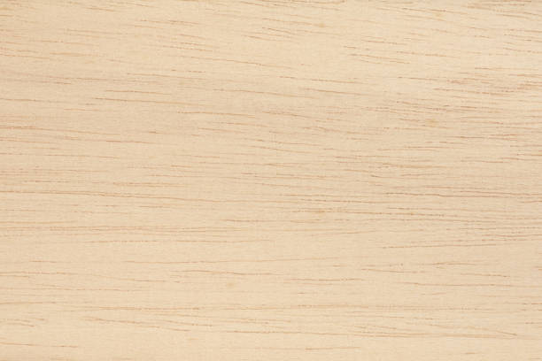 istock Plywood texture background, wooden surface in natural pattern for design art work. 1436897593
