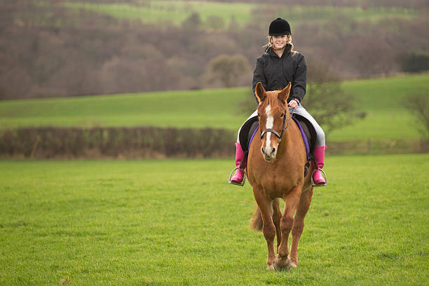 10 代の少女の馬の乗馬フィールド - riding horse for leisure ストックフォトと画像
