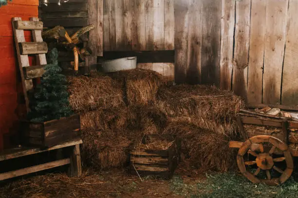 Photo of sheaves of hay in a wooden barn. harvesting food dry straw for feeding livestock. rustic country retro scene in suburb village. winter holiday season in countryside. christmas and new year time