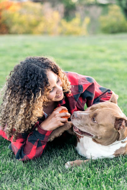 istock African Woman with Cute Dog 1436904582