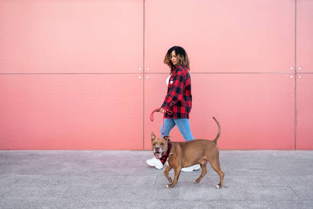 istock African Woman Walking her Dog 1436904600