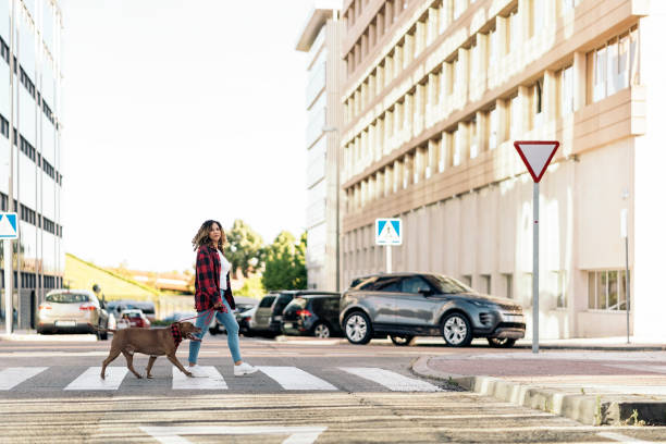 istock Young Woman Walking her Dog 1436905000