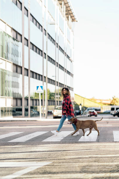 istock Young Woman Walking her Dog 1436905346