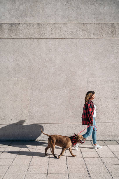istock Young Woman Walking her Dog 1436905375