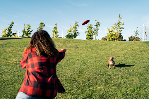 Unrecognized woman playing with her dog with a frisbee in the park.
