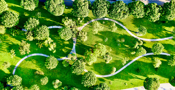 An aerial view of a beautiful green park in Fort Lauderdale, Florida