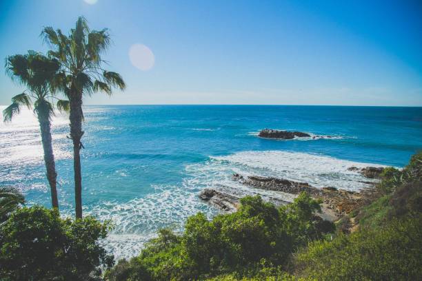 istock Aerial view of the beach 1436911475