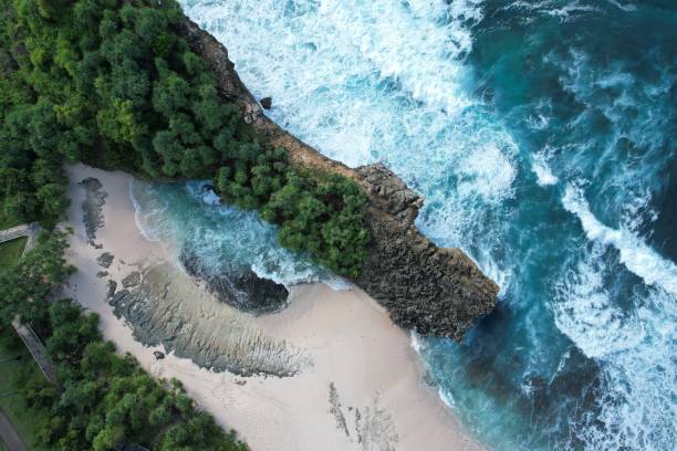 błękitna plaża kalimantan - kalimantan zdjęcia i obrazy z banku zdjęć