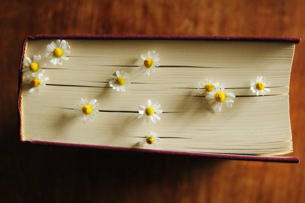 istock Flowers blooming between the pages of a book 1436912078
