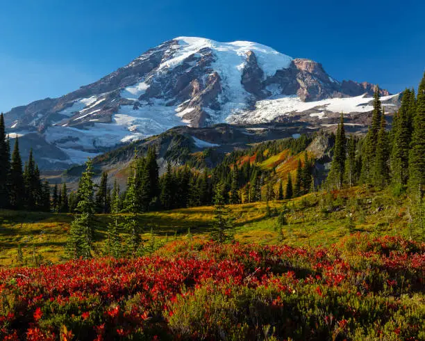 A mesmerizing view of a beautiful Mount Rainier National Park in USA