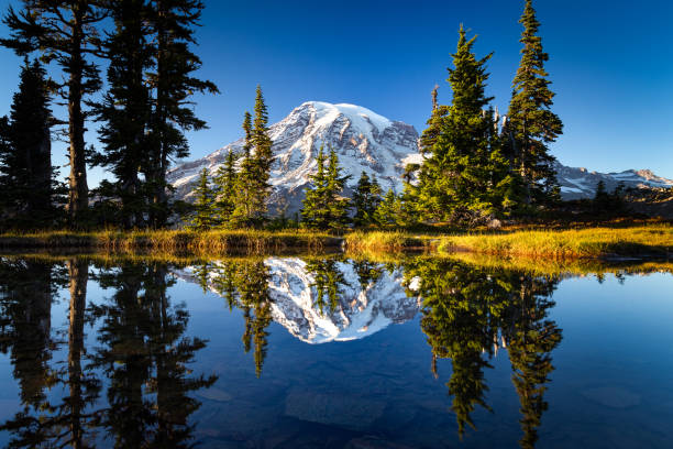 vista fascinante de un lago con reflejo de la montaña nevada rainier contra un cielo despejado - monte rainier fotografías e imágenes de stock