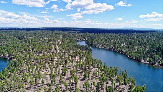 An aerial view of the Kaibab National Forest in Tusayan, USA