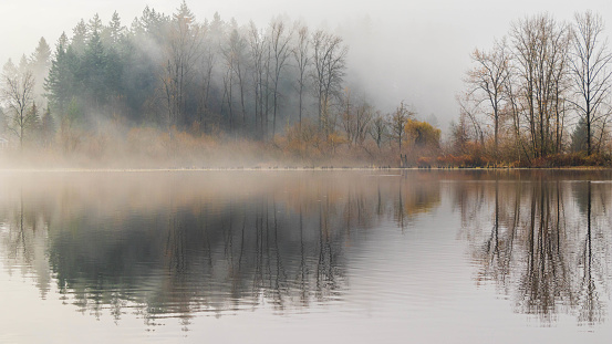 A calm lake on a foggy morning in Mill Lake, Canada