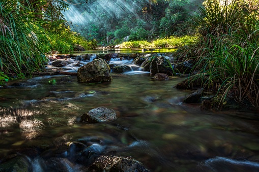 The beautiful Booloumba creek flowing on rocks surrounded by bushes and sun rays in Queensland