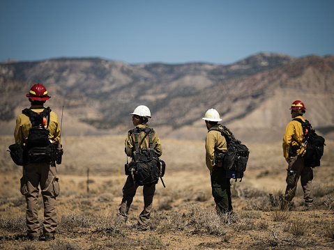 Fruita, United States – November 24, 2021: A beautiful shot of wild land firefighters overlooking a training exercise in Fruita, US