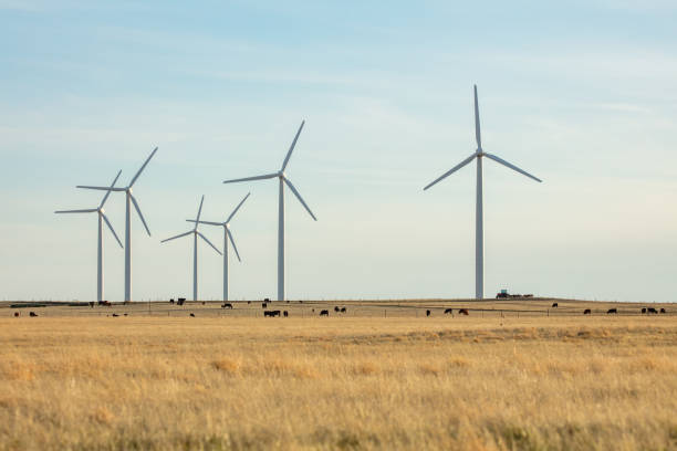 istock Windfarm on vast plain with brown grass in Northern Colorado. 1436915260