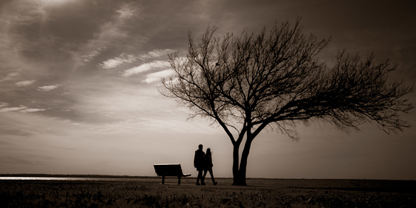 A silhouette of a couple in a park