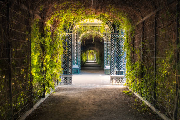 View of the columns of Privy Garden in Vienna, Austria decorated with green plants A view of the columns of Privy Garden in Vienna, Austria decorated with green plants hampton court palace stock pictures, royalty-free photos & images