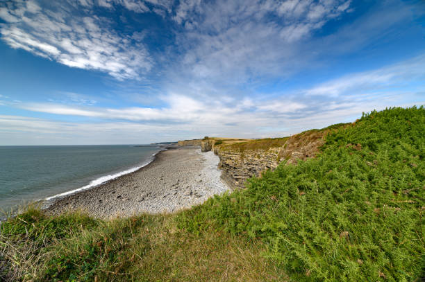 istock Top view of a rocky coastline 1436916701