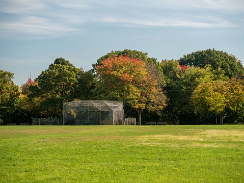 A landscape shot of a beautiful park with chain link backstop under the lush trees