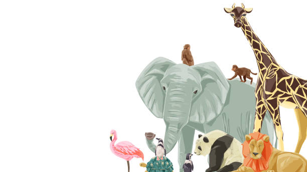 illustrazioni stock, clip art, cartoni animati e icone di tendenza di cornice dell'illustrazione dello stile dell'acquerello dipinta a mano degli animali dello zoo - zoo