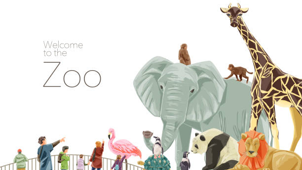 illustrations, cliparts, dessins animés et icônes de style aquarelle peinte à la main cadre d’illustration d’animaux de zoo - panda fond blanc