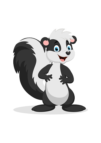 Cartoon cute skunk on white background