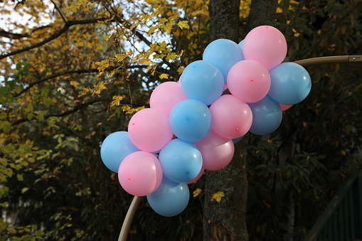 A Gender Revealing Party. Blue and pink balloons for the holiday.