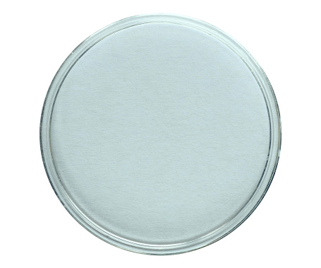 A Petri dish cylindrical glass or plastic lidded dish used to culture cells such as bacteria or mosses