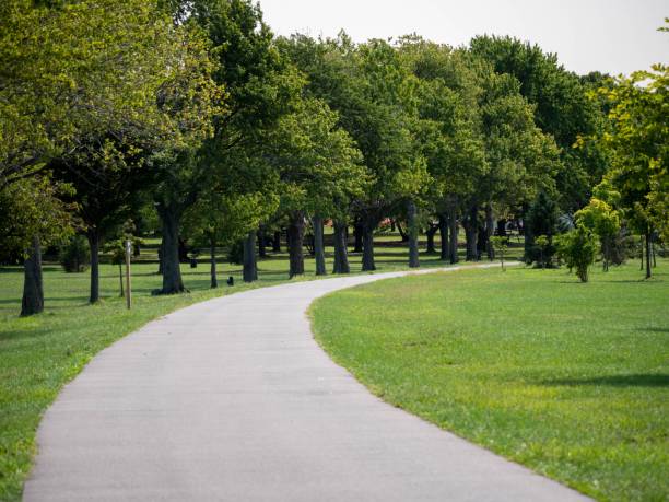istock Road in a park with green grass and trees 1436922444