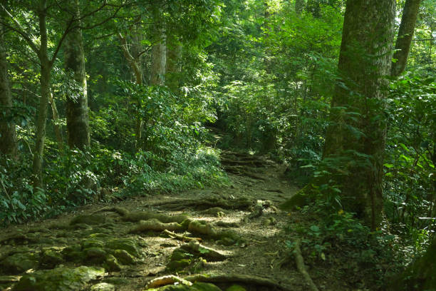 istock Mt.Takao, Tokyo, Japan (Oct-2022) 1436922586