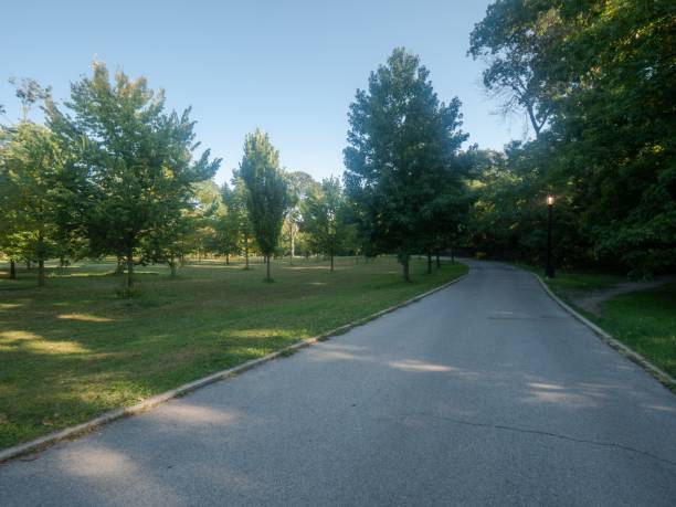 istock Pathway between trees and grass landscapes in a park 1436922838