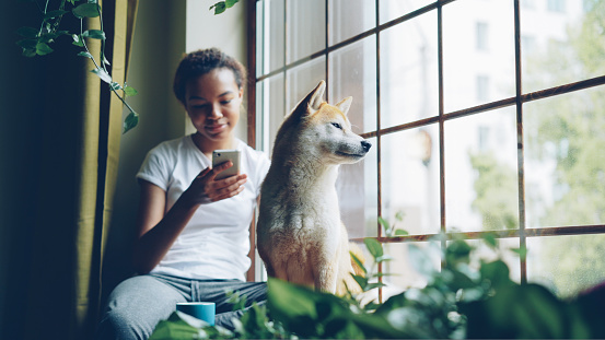 Pretty young woman is sitting on window sill and using smartphone while her cute calm shiba inu dog is sitting near her enjoying view. Leisure, animals and houses concept.