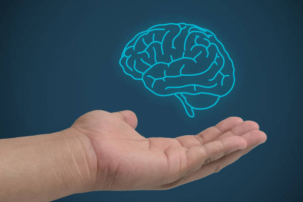 istock Drawn brain hovered over the human hand on the green or blue wall background 1436923292