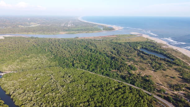 istock Landscape view of forests and water resources 1436924508