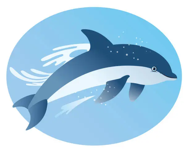 Vector illustration of Dolphin Jumping