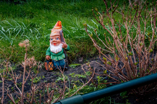 istock Garden gnome on the grassy ground 1436926419