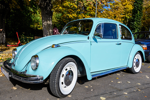 Bucharest, Romania, 24 October 2021: One vivid blue Volkswagen Beetle German vintage car in traffic in a street at an event for vintage cars collections, in a sunny autumn day