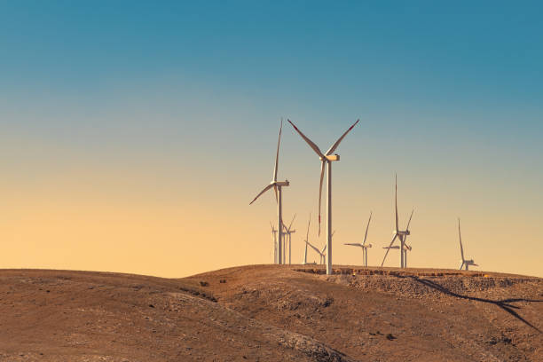 istock Multiple wind turbines standing on a hill at sunset and generating electricity 1436929496