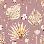istock Field herbs, hand painted watercolor dry palm leaves branches and cotton illustrations. Herbarium, botanical elements for design. 1436933883